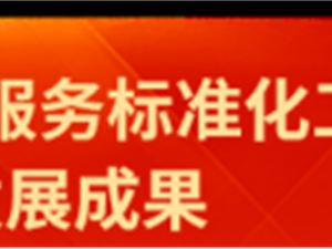 信息技术服务标准 技术服务的基石与导向